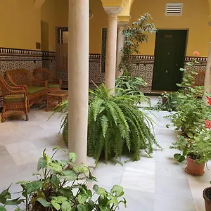 Centro Historico Solo Office Sevilla